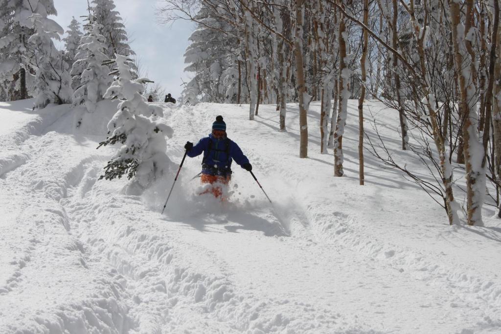 Hotel Aspen Shiga Yamanouchi  Zewnętrze zdjęcie