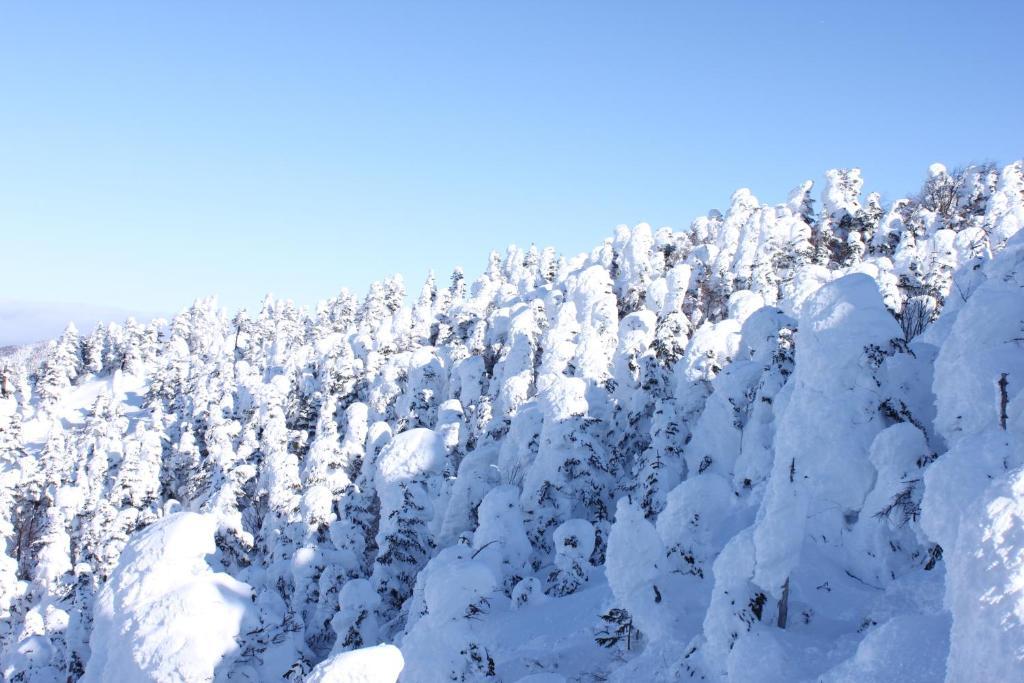 Hotel Aspen Shiga Yamanouchi  Zewnętrze zdjęcie