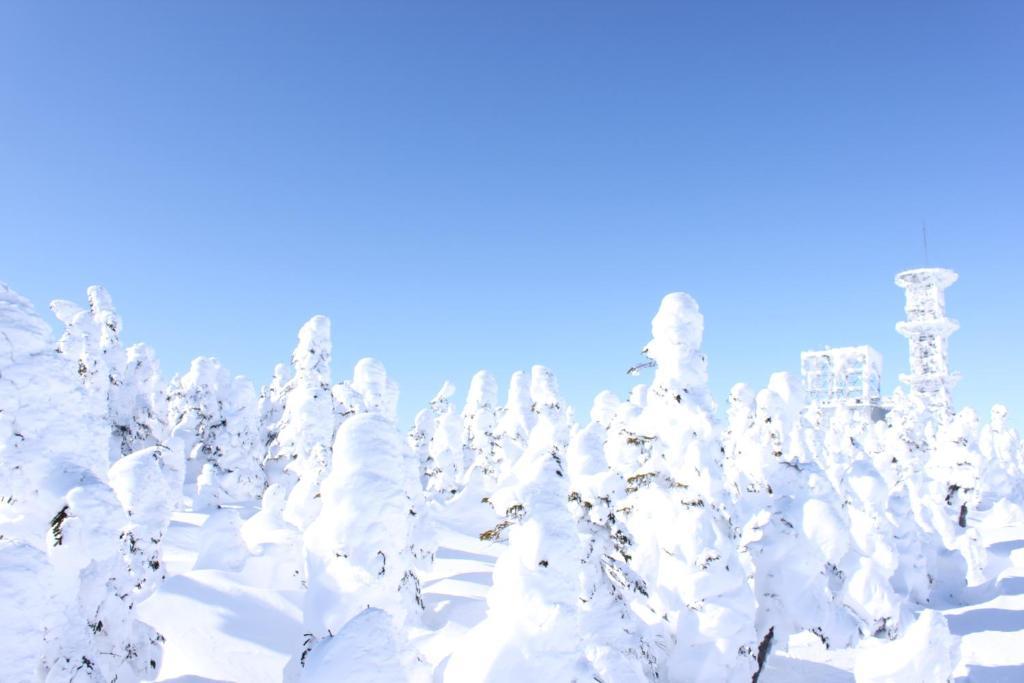 Hotel Aspen Shiga Yamanouchi  Zewnętrze zdjęcie