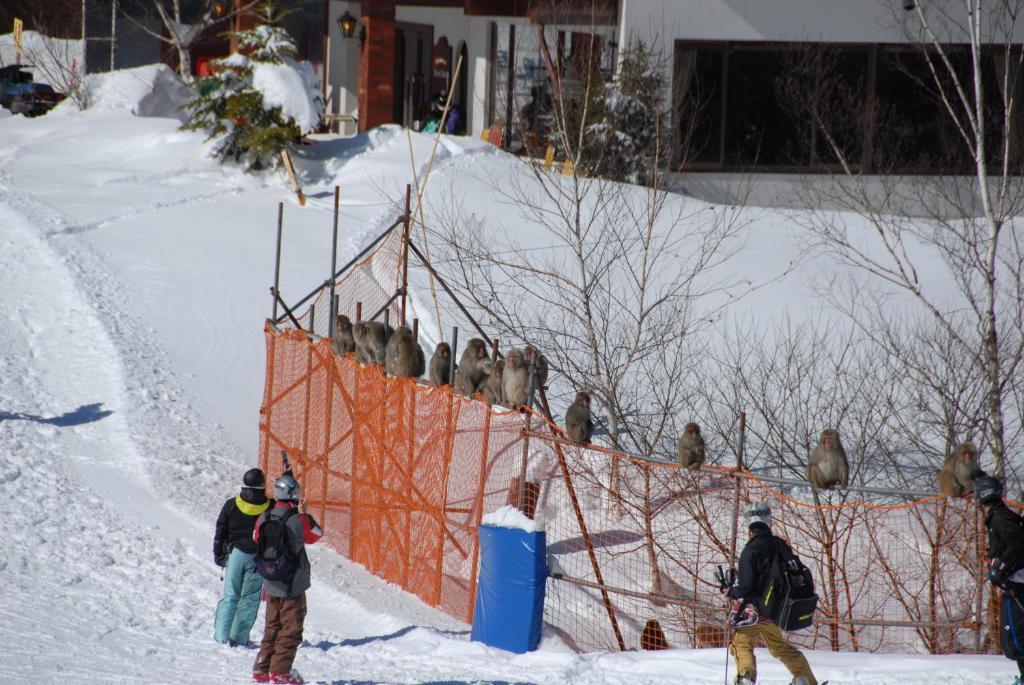 Hotel Aspen Shiga Yamanouchi  Zewnętrze zdjęcie